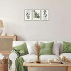 Bwodke Boho Wall Art, Framed Abstract Wall Art, Botanical Canvas Wall Decor, Mid Century Line Leaf Geometric Pictures Set of 3, Minimalist Paintings, for Bedroom Living Room Bathroom 12"x16"