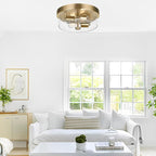 Flush Mount Ceiling Light Fixtures, 2-Light Brass Ceiling Mount for Farmhouse with Seeded Glass Lampshade, Industrial Hall Flush Mount Light Fixture for Hallway, Kitchen, Entryway, Bedroom and Foyer