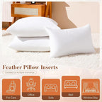 20x20 Pillow Inserts Set of 2, Natural Feather Down Pillows with 100% Cotton Cover, Throw Pillow for Bed, Couch and Sofa.