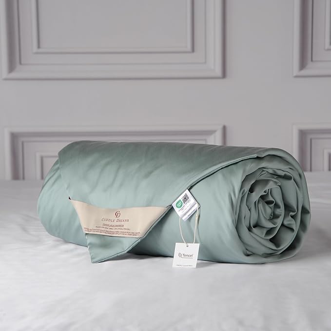 CUDDLE DREAMS Lightweight Silk Filled Comforter for Summer, Detachable Tencel Duvet Cover for Easy Care, Naturally Breathable (Celadon, Queen)