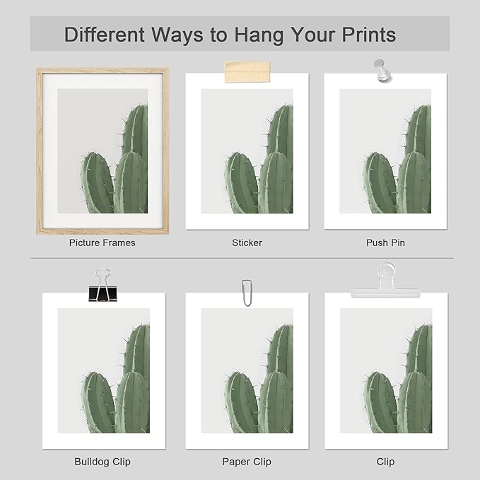 SIGNWIN Adhesive Canvas Poster Green Cactus Snake Plant Collage Desert Landscape Nature Wilderness Photography Realism Decorative Rustic Cozy Zen for Living Room, Bedroom, Office - 12"x16"x4