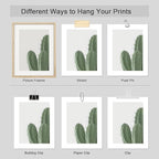SIGNWIN Adhesive Canvas Poster Green Cactus Snake Plant Collage Desert Landscape Nature Wilderness Photography Realism Decorative Rustic Cozy Zen for Living Room, Bedroom, Office - 11"x14"x4
