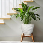 G EPGardening 10 Inch Plant Pot Ceramic Pots for Plants Indoor Outdoor Plant Pots with Drainage Hole and Saucer Round Large Flower Pot for Home Garden Office White