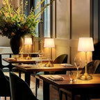 GGOYING Set of 2 Rechargeable Cordless LED Table Lamps, 4-Level Dimmer, Bronze Portable Desk Lamps with White Fabric Shades, Night Light for Dining, Bedroom and Patio