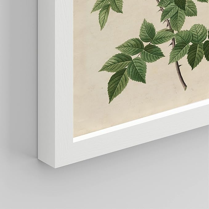 SIGNWIN Framed Vintage Colorful Wildflower Wall Art, Set of 4 Variety Floral Wall Decor Prints, Nature Wilderness Wall Décor for Living Room, Bedroom - 8"x10" White