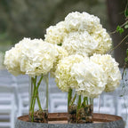 WDHODEC Hurricane Candle Holders for Pillar Candles, Clear Glass Cylinder Vases for Flowers, Votives for Wedding Party Centerpieces 10" 7.8" 6" Set of 9