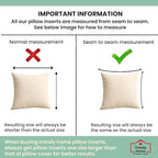 Trendy Home 16x16 100% Natural Cotton Throw Pillow Insert(Set of 2), Bed and Couch Pillows Stuffer Hypoallergenic, Decorative Home Outdoor Sofa Pillow Filler (Cotton, 2 Pack)