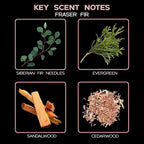 LOVSPA Reed Diffuser Set, Fraser Fir Scented Oil Diffuser with Sticks, Home Fragrance Accessories for Bathroom Shelf Decor, Aroma Diffusers for Home or Office Desk, USA Made