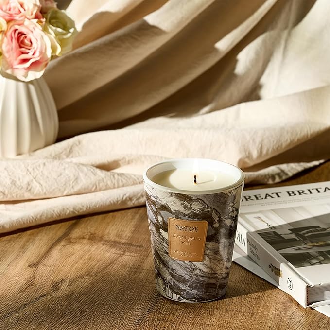 M&SENSE EucalyptusMint Scented Candles for Home, Lead-Free Wick Highly Scented Jar Candles, 14.1 Oz 80 Hours Lasting Burning Candles Gifts for Women, Relaxing Aromatherapy Candle for Stress Relief