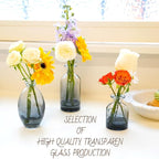 24 Pack Black Clear Bud Vases, Small Glass Mini Vases – Modern Small Decorative Vases in Bulk for Floral Arrangements, Wedding Centerpieces, Table Decor, Home & Party Decorations