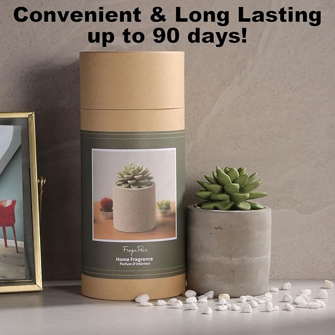 Reed Diffuser Set, Pretty Valley Home Succulent Gypsum Ceramic Fragrance Diffuser Vase Set - Frozen Pear 3.38 fl oz (100 ml), Home Fragrance Reed Diffuser for Bathroom Office Living Room Decor