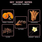 LOVSPA Reed Diffuser Set, Heirloom Pumpkim Scented Oil Diffuser with Sticks, Home Fragrance Accessories for Bathroom Shelf Decor, Aroma Diffusers for Home or Office Fall Decor, USA Made