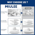 MIULEE 22x22 Pillow Inserts,Set of 2 100% Virgin Microfiber with Cotton Cover Throw Pillows for Couch Sofa and Bed