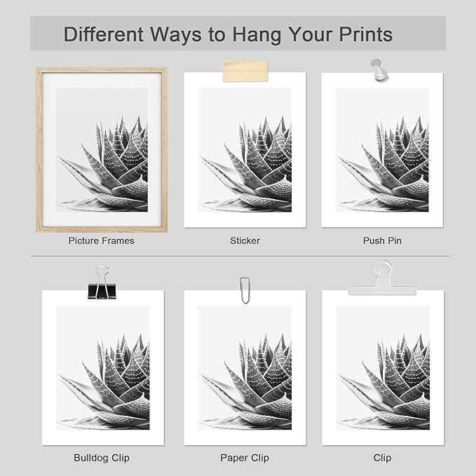 SIGNWIN Poster Set Black White Snake Plant Agave Cactus Succulent Close Up Floral Botanical Photography Modern Art Decorative Scenic Multicolor Nature Wilderness for Bedroom - 12"x16"x4