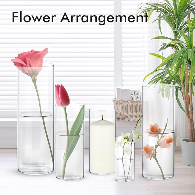 10 Pack Clear Glass Vases for Centerpieces, Cylinder Vase Set, 4,6,8,10,12 Inch Tall Flower Vase for Home Decor, Flower Vase for Table Decorative & Hurricane Floating Candle Holders
