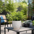 6.9 Inch Plant Pot with Drainage Hole and Saucer Ceramic Planter for Indoor Plant Flower Pot for Orchid Succulents Plants White