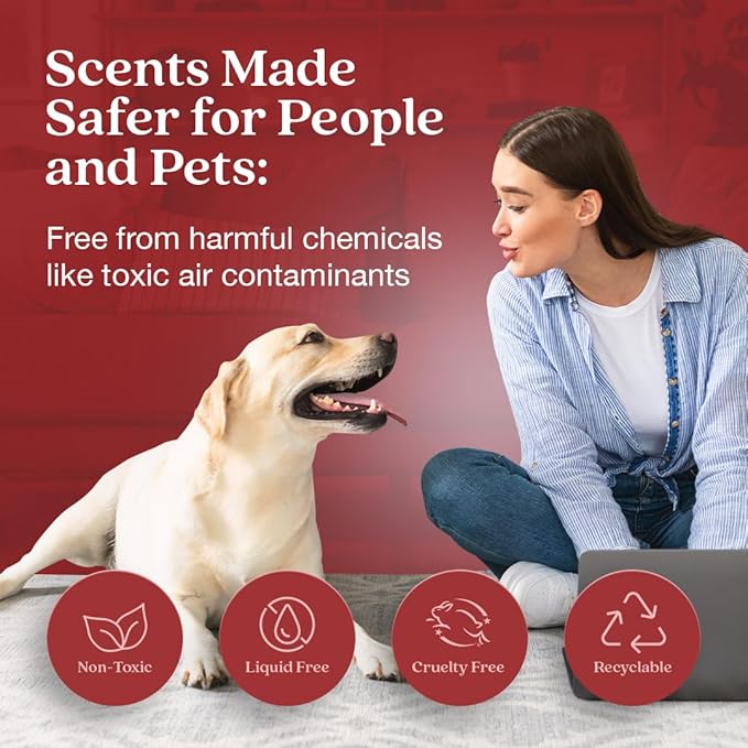 Enviroscent Air Freshener for Home (Honeycrisp Apple & Cardamom) Essential Oil Diffuser | Air Freshener + Room Freshener | Home Fragrance Last Over 30 Days | 1 Mango Wood Stand & 1 Scent Stix Refill