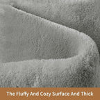 Sour Lemon 5x7 Area Rugs for Living Room, Soft Large Area Rug Fluffy Rugs for Bedroom，Machine Washable Area Rug Non Slip Carpet Rug for Living Room Playroom Kids Room Home Decor