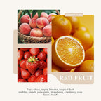 Reed Diffuser Set - 3.38oz (100ml) Red Fruit Scent Essential Oil Air Freshener with 6 Reed Sticks| Long-Lasting Aromatherapy for Home, Bathroom, Office Decor