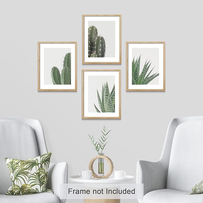 SIGNWIN Adhesive Canvas Poster Green Cactus Snake Plant Collage Desert Landscape Nature Wilderness Photography Realism Decorative Rustic Cozy Zen for Living Room, Bedroom, Office - 11"x14"x4
