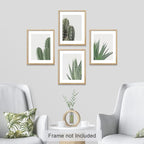 SIGNWIN Adhesive Canvas Poster Green Cactus Snake Plant Collage Desert Landscape Nature Wilderness Photography Realism Decorative Rustic Cozy Zen for Living Room, Bedroom, Office - 11"x14"x4