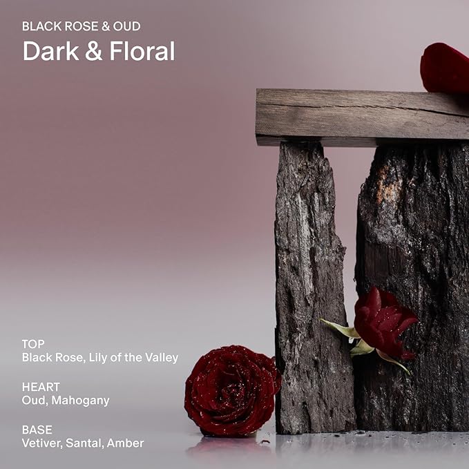 SALT & STONE Scented Candle for Women & Men | Hand-Poured, Aromatic & Fragrant | Coconut & Soy Blend Wax | 100% Cotton Wick | Long-Lasting 50 Hour Burn Time (8.5 oz) (Black Rose & Vetiver)