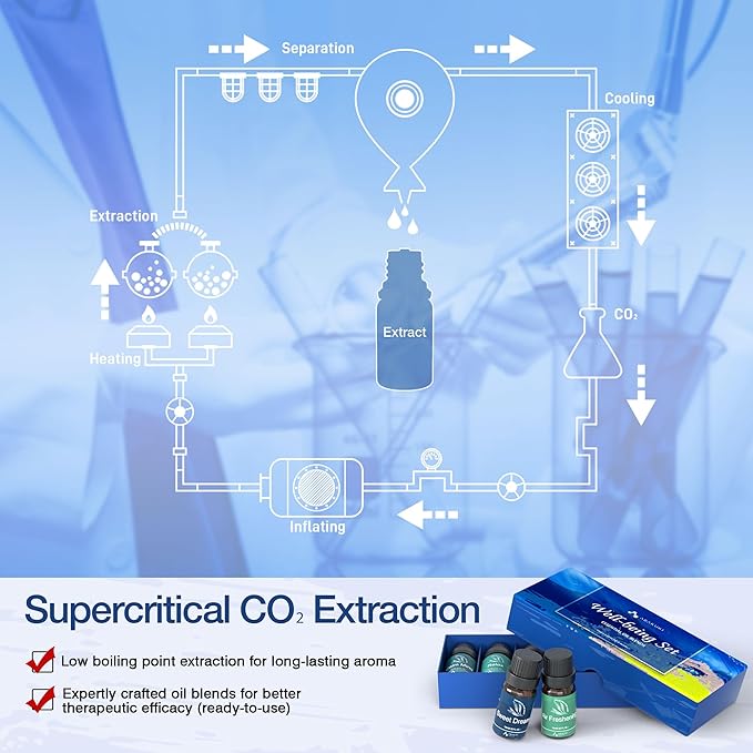 ASAKUKI Essential Oil Blends, Essential Oils for Diffusers for Home, Well-Being Kit- Calm Mind, Sweet Dreams, Happy, Relax, Air Freshening, Immunity for Aromatherapy, Humidifiers, Massage, 6x10ml