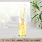 Urban Naturals Vanilla Orchid and Almond Scented Reed Diffuser Oil Set | Rich, Nutty Fragrance with Almond, White Orchid, Coconut Milk, Vanilla and Amber | Great Holiday Home Air Freshener