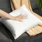 22x22 Pillow Inserts Set of 2, Throw Pillow Inserts with Down Alternative Set Square Decorative Throw Pillows for Couch Bed Sofa (1, 22x22 Inch,Pack of 2)