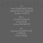 Antica Farmacista Room Spray - Grapefruit, 3.4 Fl Oz (Pack of 1)