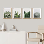 SIGNWIN Framed Tropical Island Wall Art, Set of 4 Green Desert Plant Cactus Snake Plant Wall Decor Prints, Nature Wilderness Wall Décor for Living Room, Bedroom - 12"x16" Natural