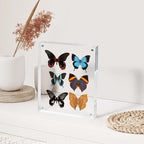 SYNTRIFIC 8x10 Acrylic Frames 6 Pack,10+10mm Thickness Acrylic Picture Frames,Freestanding Double Sided Magnetic Picture Frames Lucite Frameless Transparent Gift for Desktop Display