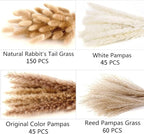 300 PCS Dried Flower Bouquet – Pampas Grass, Floral Decor for Home, Wedding, and Boho Style | Perfect for Vases, Fall, Spring, Summer, and Winter Arrangements