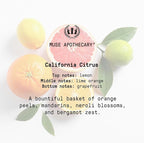 Muse Apothecary Room Ritual - Aromatic and Relaxing Room Mist, 8 oz, Infused with Natural Essential Oils - California Citrus, 2 Pack