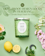 M&SENSE Sage Citrus Scented Candle, Cracking Wooden Wick Soy Wax, 18oz 100 Hours Long Lasting Clean Burn, Large Jar Candles for Home Decor, Non-Toxic Relaxing Aromatherapy Gifts for Women