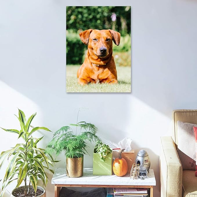 Personalized Photo to Canvas Print - Canvas Prints With Your Photos on Custom Wall Art for Bedroom, Living Room, Wedding Baby Pet Family Picture Framed Wall Art (12" W x 16" H)