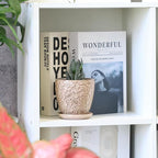 4 Inch Mini Plant Pots, Ceramic Succulent Planter with Drainage Hole and Saucers for Indoor Plants, Small Garden Pots for Succulent, Herb and Flower, Set of 4