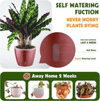 Self Watering Pots for Indoor Plants, 4-Pack 6.7'' Self Watering Planter with Drainage Holes, Small African Violet Pots with Water Indicator, Clear Wick Orchid Pot, Rose Gold