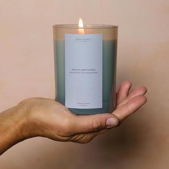 Eucalyptus Fig & Sandalwood Scented Candle | Benevolence LA Sun-Kissed Collection | 11oz, 60 Hour Burn | Natural Soy Wax, Cotton Wick | Fall Scented Candles for Home, Bedroom – Pacific Driftwood