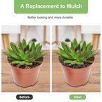 5 lbs Pebbles for Indoor Plants, Succulent, Cactus, 1/5 Inch Small Lava Rock for Plants Drainage, Natural Horticultural Volcanic Rock, Top-Dressing