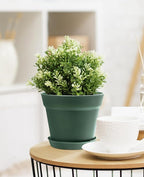 homenote Plant Pots,15 Pack 6 inch Flower Pots with Multiple Drainage Holes and Saucers,Plastic Planters for All Home Garden Flowers Succulents(Green)