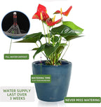 Dexceder 11x10 Inches Self Watering Planter Indoor Outdoor, Inner Pot Design, Thickened Table Flower Plant Pot with Water Level Indicator (Grayish Green Gradient)