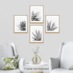 SIGNWIN Poster Set Black White Snake Plant Agave Cactus Succulent Close Up Floral Botanical Photography Modern Art Decorative Scenic Multicolor Nature Wilderness for Bedroom - 8"x10"x 4