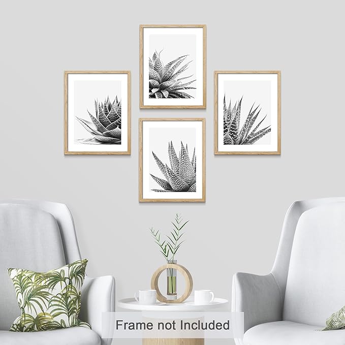SIGNWIN Poster Set Black White Snake Plant Agave Cactus Succulent Close Up Floral Botanical Photography Modern Art Decorative Scenic Multicolor Nature Wilderness for Bedroom - 11"x14"x4