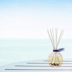 LOVSPA Reed Diffuser Set, Beach House Scented Oil Diffuser with Sticks, Home Fragrance Accessories for Bathroom Shelf Decor, Aroma Diffusers for Home or Office Desk, USA Made