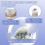 Angel Cat Music Snow Globe Pet Memorial Gifts, Cat Pass Away GIF, Sympathy Gift for Loss of Pet, Cat Lover Gift idea