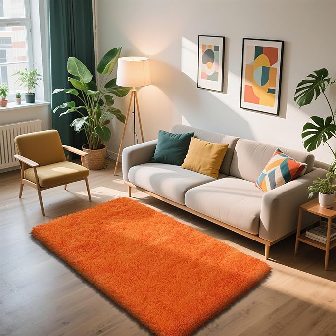 Shag Area Rug for Bedroom 3x5,Orange Fluffy Area Rugs for Living Room,Soft Fuzzy Rug Non-Shedding Indoor Plush Carpet for Kids Bedroom Nursery Dorm Home Decor