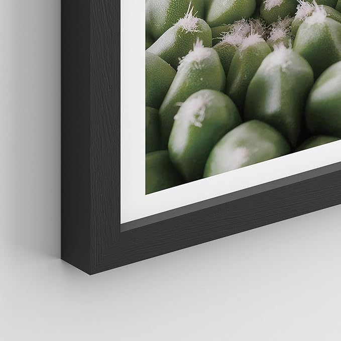 SIGNWIN Framed Tropical Island Wall Art, Set of 4 Green Desert Plant Cactus Snake Plant Wall Decor Prints, Nature Wilderness Wall Décor for Living Room, Bedroom - 11"x14"Black