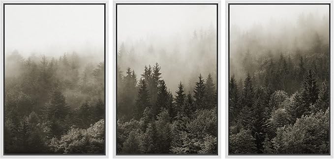 SIGNWIN Framed Canvas Print Wall Art Woodland Nursery Decor Set Fog & Mist Over Blue Pine Tree Forest Nature Modern Art Rustic Landscape Colorful for Living Room, Bedroom, Office - 24"x36"x3 White
