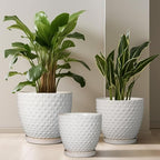 G EPGardening 8 Inch Plant Pot for Indoor Outdoor Plants Round Ceramic Planter Pot with Drainage Hole and Saucer Modern Large Flower Pot White